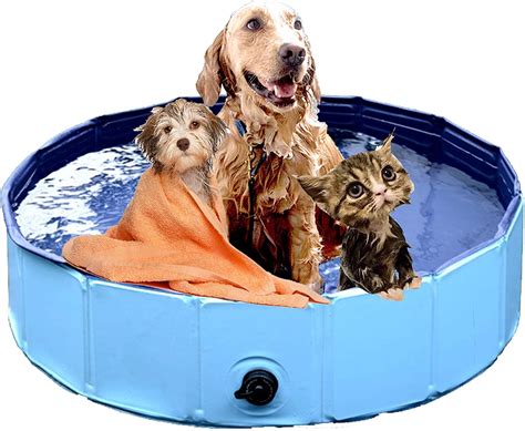 Best Portable Dog Bath