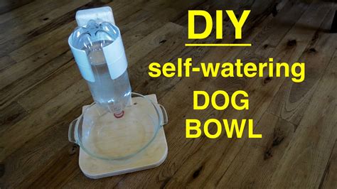 How Does A Self Watering Dog Bowl Work